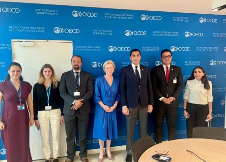 وزير الشباب يبحث مع منظمة التعاون الاقتصادي والتنمية «OECD» سبل تعزيز التعاون المشترك