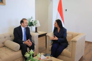 وزيرة التضامن تبحث مع برنامج الأمم المتحدة الإنمائي تعزيز التمكين الاقتصادي والحوكمة