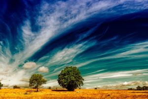 El Niño intensifies, raising global risks of drought, floods, wildfires: WMO