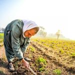 «الزراعة»: مصر نجحت في الحد من تأثير التغيرات المناخية على الإنتاج الزراعي