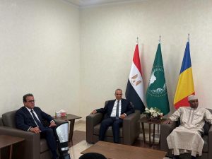 تنفيذًا لتوجيهات الرئيس السيسي.. وزير الصحة يبحث في تشاد تعزيز التعاون الصحي ودعم المنظومة الطبية 
