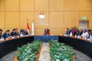 وزيرة الإسكان تبحث مع «CSCEC» الصينية التوسع في تنفيذ المشروعات الكبرى بمصر