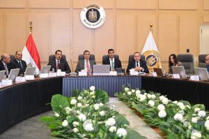 الحكومة تبحث تنفيذ نموذج متكامل لزراعة وتصنيع الكتان وتعظيم القيمة المضافة للمنتج المصري