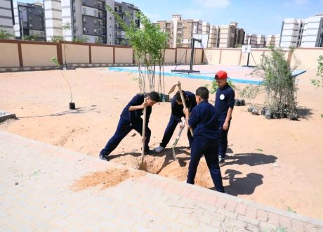 «التنمية المحلية والبيئة» تدعمان مدرسة الكرنك بـ150 شجرة لضمان استدامة التشجير