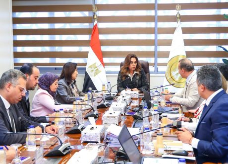 منال عوض تتابع مشروعات التنمية الاقتصادية في 4 محافظات بالصعيد.. وتوجه بسرعة دخولها الخدمة
