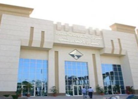 الصندوق الاجتماعي للتنمية يعلن تمويل  500 مشروع لاتاحة الف فرصة عمل