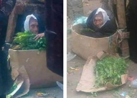عجوز ( الكرتونة) تهز مشاعر مصر..ووزارة التضامن تعلن مساعدتها
