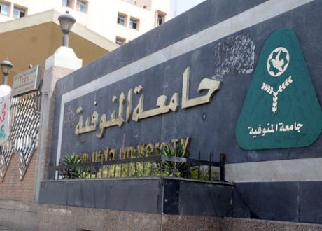 جامعة المنوفية تستعين بخبرات يابانية لتدريب الطلاب