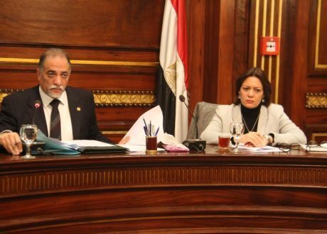 بالصور..لجنة التضامن بالبرلمان : ضوابط صارمة في اختيارات “الأم البديلة” بدور رعاية الأيتام