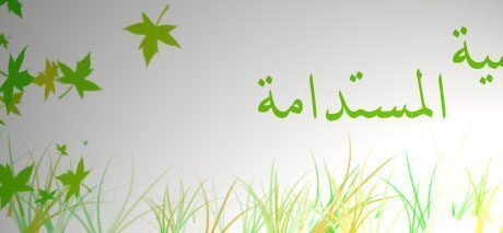 مثقفون : الشباب محور التنمية المستدامة والعمل التطوعي بالمجتمع