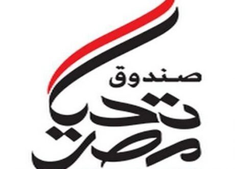 بروتوكول تعاون بين “معلومات الوزراء” و”تحيا مصر” لدعم وتمكين مؤسسات الدولة