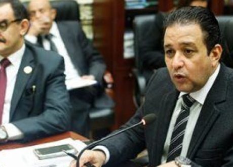 «حقوق الإنسان البرلمان» تطالب بتوقيع بروتوكول للدفاع عن المصريين المتضررين بالخارج
