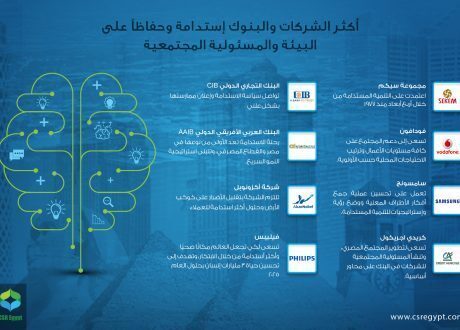 إنفوجراف.. مؤسسات لعبت دورا مهما في بناء أطر التنمية المستدامة