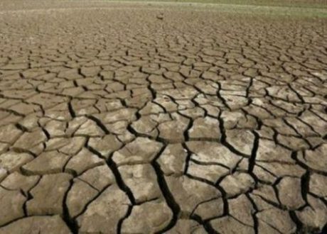 خبير تنموي: نحتاج لـ«رخصة إنجابية» لمواجهة الكوارث الناتجة عن «الاحتباس الحراري»