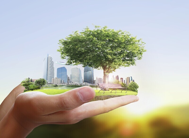 الاستدامة ما بين الحيرة ..والواقع ( مقال )