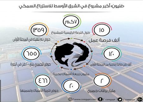 بالإنفوجراف.. أكبر مشروع استزراع سمكي في الشرق الأوسط «غليون»