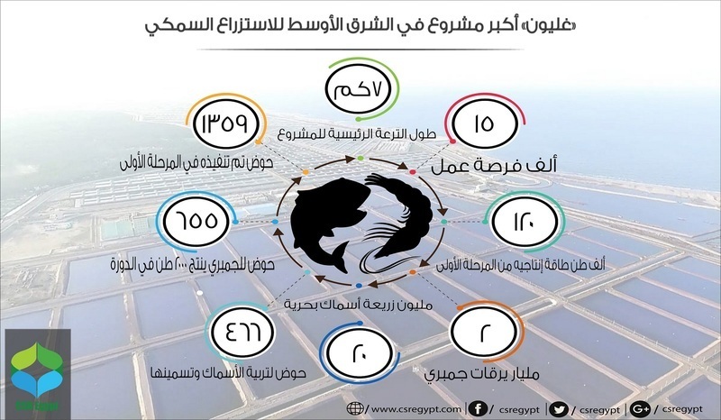 بالإنفوجراف.. أكبر مشروع استزراع سمكي في الشرق الأوسط «غليون»