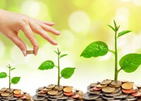 ” رايز أب 2017 ” : الإعلان عن استثمارات كبرى في مجال ريادة الأعمال في المنطقة