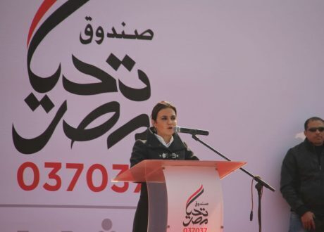 تحيا مصر تحتفل بمحافظة خالية من فيروس سي بالشرقية