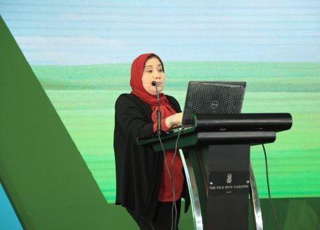 «المنظمات العربية»: الاستثمار ثمرة تعاون الحكومات والقطاع الخاص والمجتمع المدني