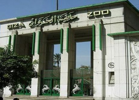 «افرحم اسعدهم» تهدي حديقة الحيوان 6 دورات مياه لذوي الاحتياجات الخاصة