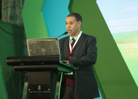 «البيئة والإسكان بجامعة الدول»: توجد حلقة مفرغة بين مشروعات الأمن المائي والغذائي والقرارات السياسية