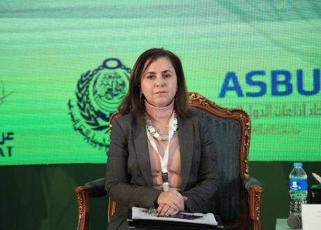 «إدارة المعلومات بجامعة الدول»: تبادل البيانات ركيزة أساسية للعمل العربي المشترك