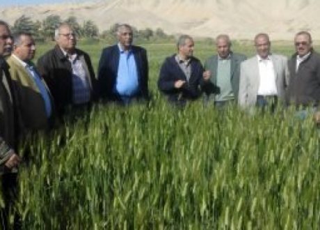 الزراعة: استمرار «القوافل» الإرشادية والبيطرية فى محافظات مصر