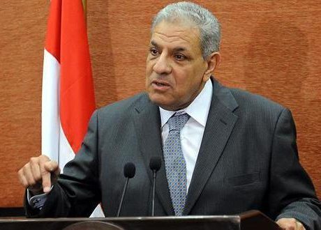 «محلب»: تنفيذ 3195 مشروعا بـ 667 مليار جنيه خلال الـ4 سنوات الماضية