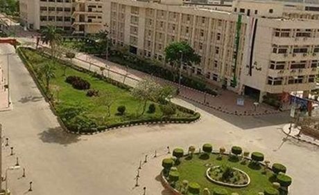 اليوم.. احتفالية كبرى بـ «زراعة عين شمس» لتكريم 60 طفل يتيم