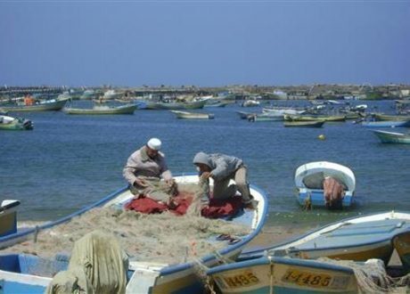 محافظ السويس: اعتماد 7.5 مليون جنيه إعانات للصيادين المتضررين من وقف الصيد