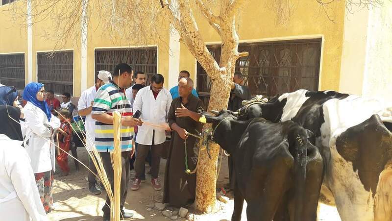 بدء أعمال القوافل البيطرية المجانية بقرية أسمنت بالداخلة