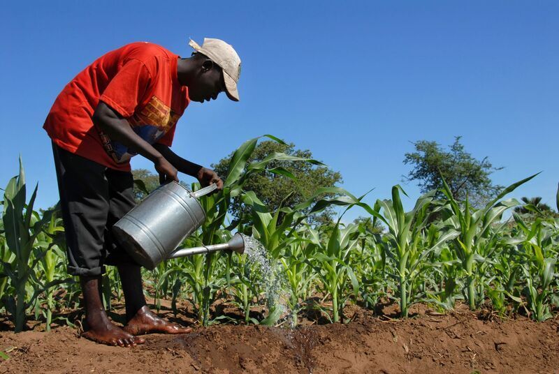 Sustainable Food systems and Agriculture Conf. to open in Addis Ababa Tuesday