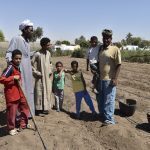 Switzerland, Egypt’s Aswan governorate join hands for more sustainable development projects
