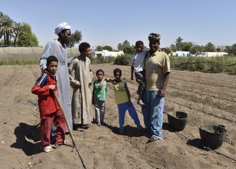 Switzerland, Egypt’s Aswan governorate join hands for more sustainable development projects
