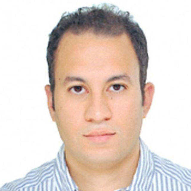 السيد محمد القلا