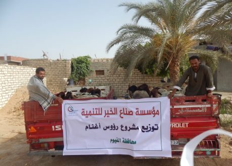 صناع الخير تطلق قافلة مساعدات لتوزيع رؤوس أغنام لغير القادرين