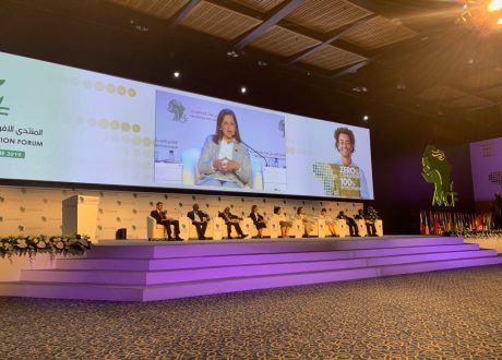 «التخطيط»: استدامة موارد القارة الأفريقية لخدمة أهداف التنمية المستدامة
