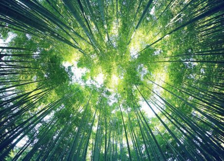 A new ‘Sustainability Bond’ got 10 times the investor interest it needed
