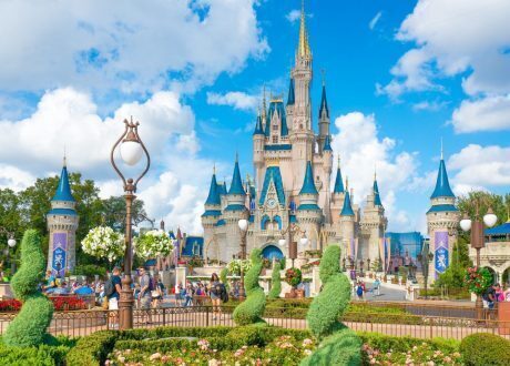 Disney world to almost halve greenhouse gas emissions, waste by 2020