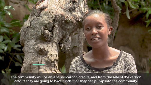 Carbon credits from Kenya's mangrove conservation to pump $ 30,000 a ...