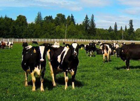 جهاز تنمية المشروعات بالوادي الجديد يمول 14 مشروع متنوع بتكلفة 1,2 مليون جنيه