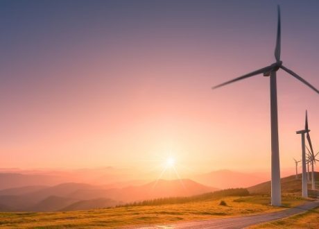 EBRD, IFC, OPIC extend $ 252 m loan to Egypt’s wind farm