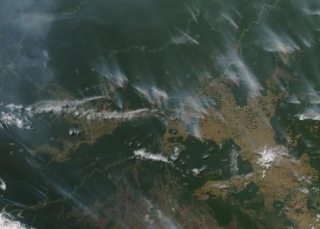 Blame humans for starting the Amazon fires, environmentalists say