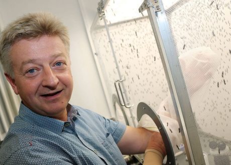 Scientists mull getting protein-rich animal feed from insects to face climate change challenges