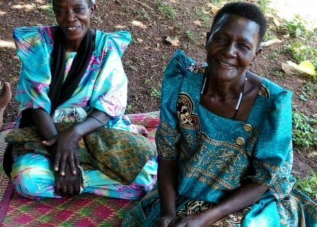 Uganda’s Mabira Forest at risk over increasing population, high charcoal demand