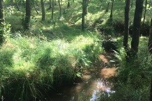 UK launches 1st pilot project to help reduce flooding risk of River Aire at £ 500,000