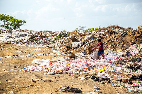 Increasing waste-to-energy plants to devor billions of tons of waste, generate renewable energy, reduce CO2