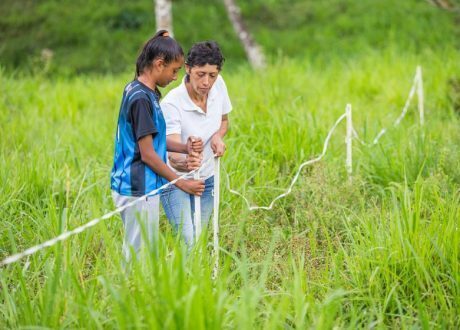 Multiplying Environmental and Carbon Benefits in High Andean Ecosystems proves successful in pilot stage