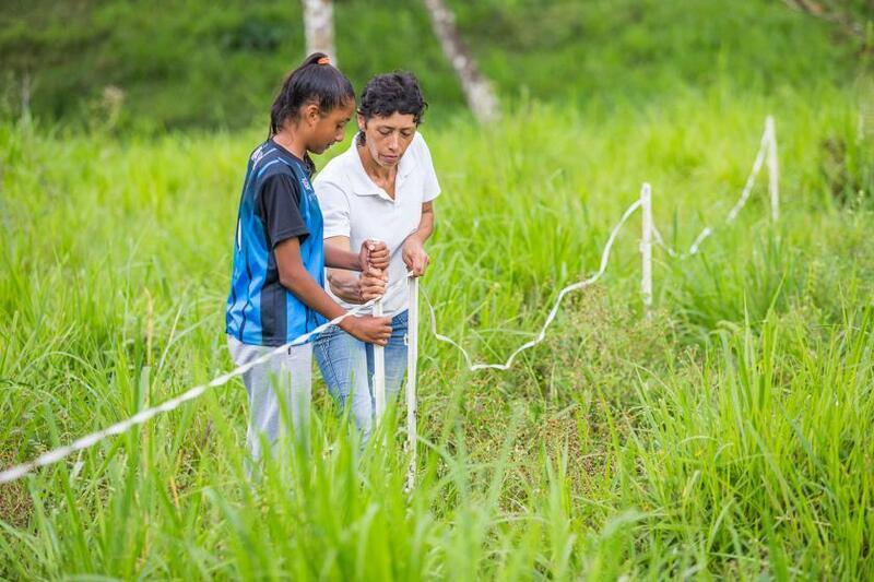 Multiplying Environmental and Carbon Benefits in High Andean Ecosystems proves successful in pilot stage